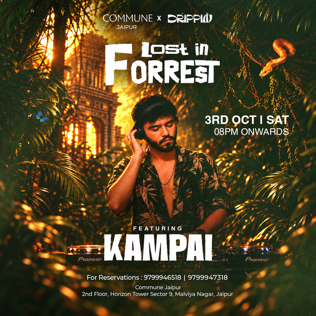 Lost In Forrest