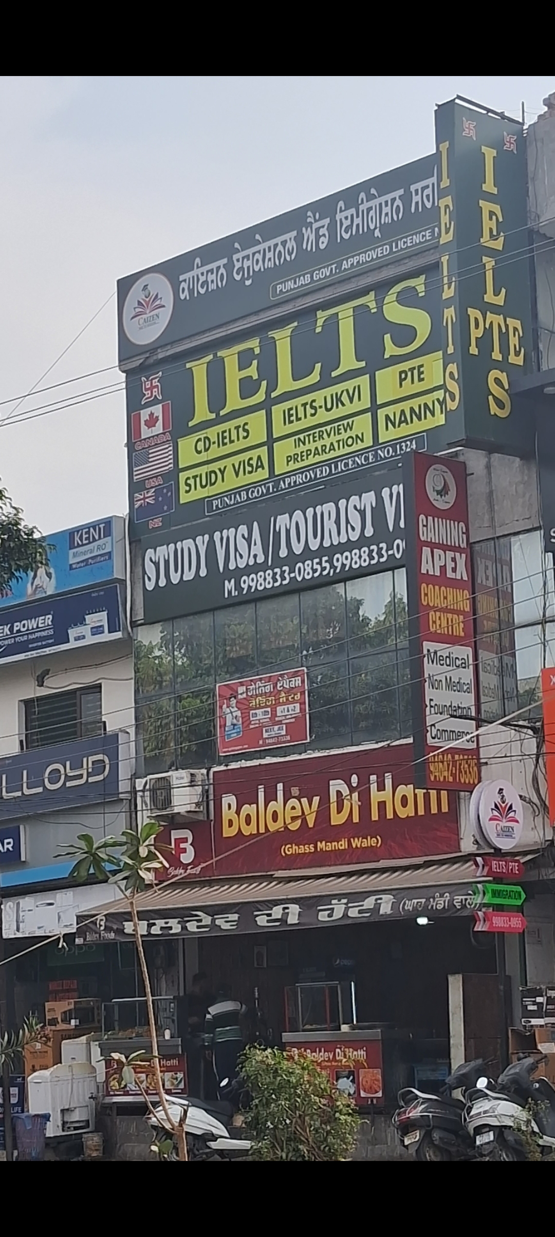 Visa Agent — CAIZEN Educational & Immigration Services in Ludhiana (photo 7)