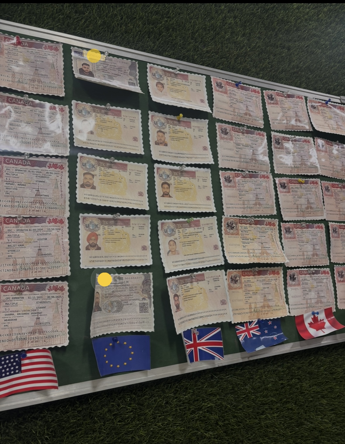 Visa Agent — CAIZEN Educational & Immigration Services in Ludhiana (photo 13)