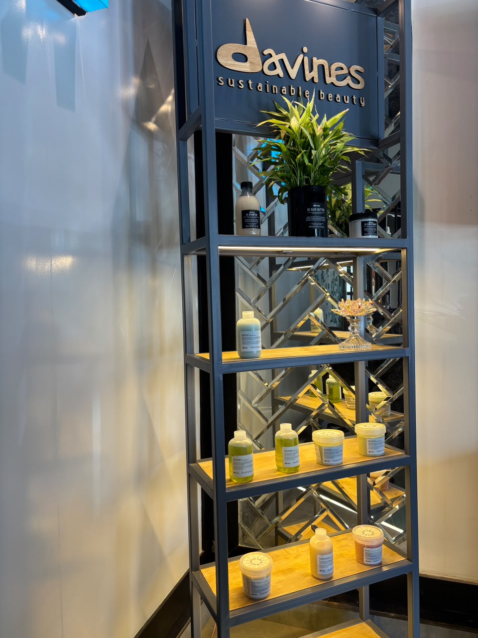 Davines is a luxury professional hair care brand that originated in Italy in 198