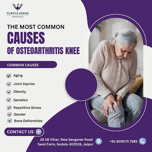 Common Risk Factors for Knee Osteoarthritis

Knee osteoart