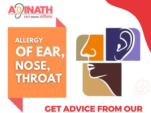 Do you have an allergy related to your Ear, Nose, and throat