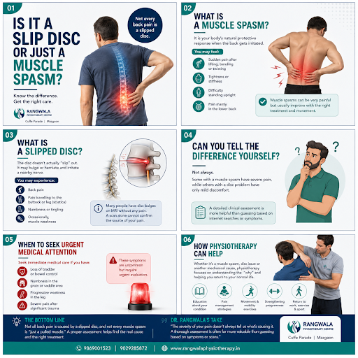 Is It a Slip Disc or Just a Muscle Spasm?

Back pain can be 