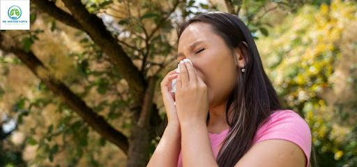 Dust and Pollen Allergy Specialist Near You